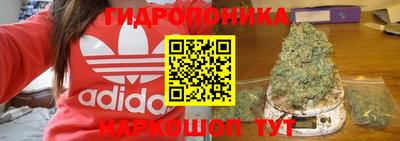 гидропоника Краснознаменск