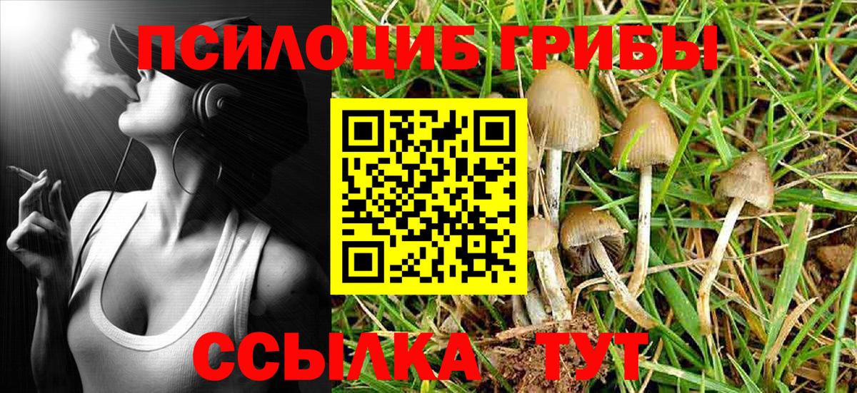 магазин продажи наркотиков  Вход с VPN  Кириши  Галлюциногенные грибы Psilocybe 