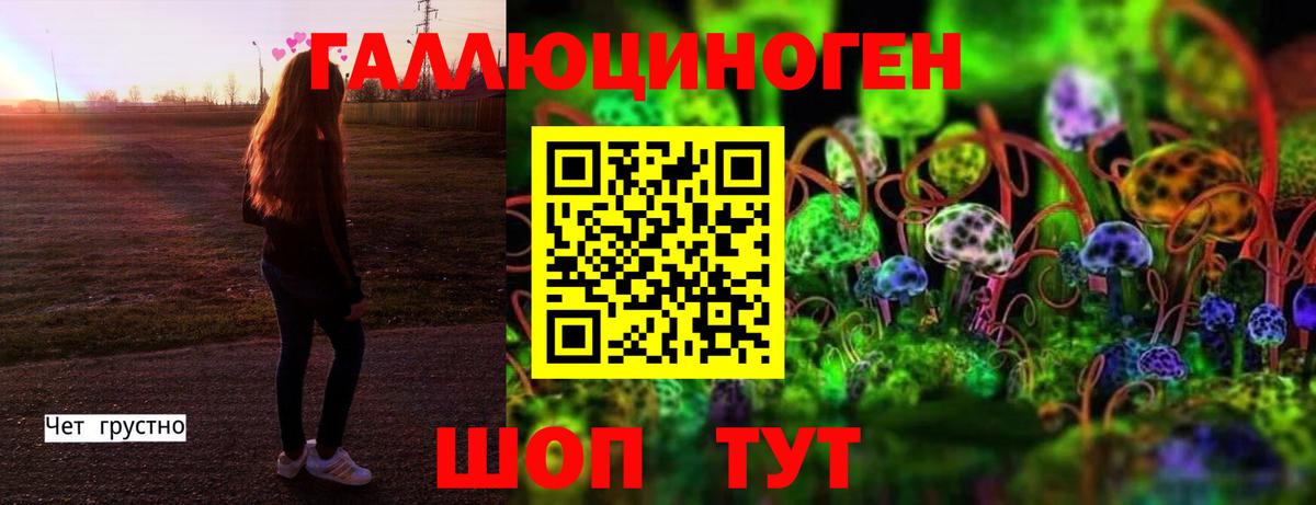 Псилоцибиновые грибы MAGIC MUSHROOMS Кириши